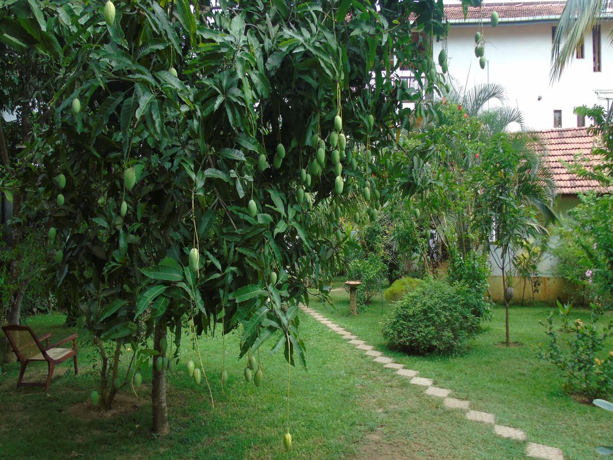Secret Bay Hotel Matara Esterno foto