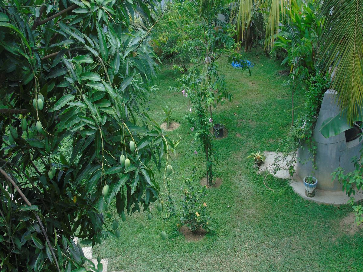 Secret Bay Hotel Matara Esterno foto